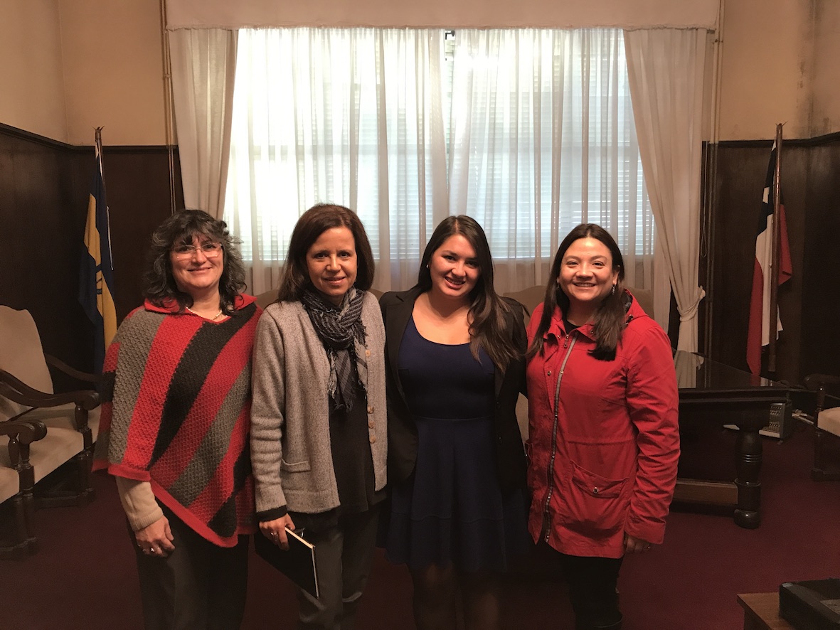 Examen de Título: Química y Farmacia Sta Viviana Garcés