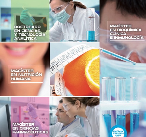 Desde las Líneas de Investigación hasta formas de financiamiento.