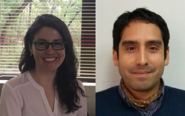 Proyectos Adjudicados «Concurso Apoyo a la Formación de Redes Internacionales para Investigadores(as) en Etapa Inicial»