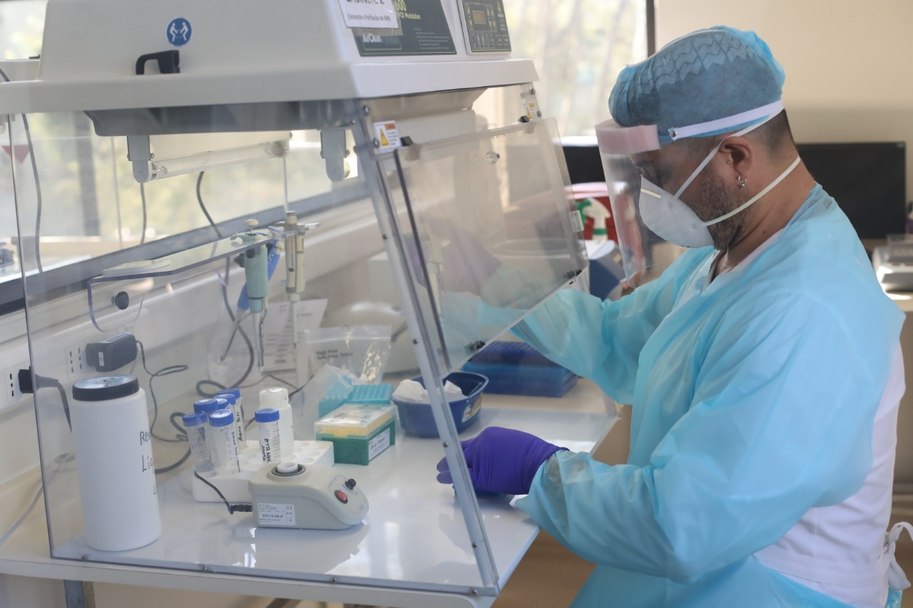 Dos proyectos liderados por académicos de la Facultad de Farmacia se adjudican fondos ANID para investigar sobre Covid-19