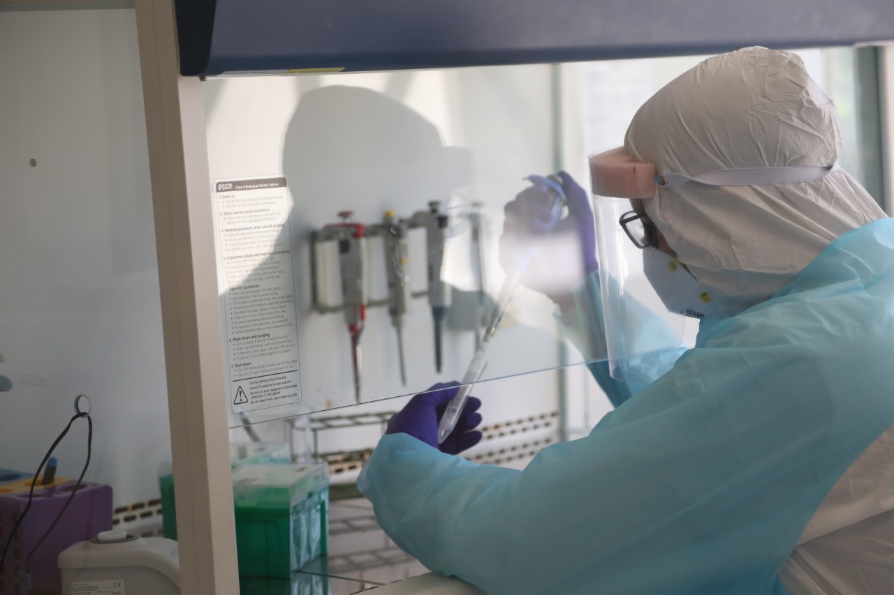 Laboratorio de Diagnóstico de la Facultad de Farmacia ha procesado más de un millar de muestras  provenientes de Santiago