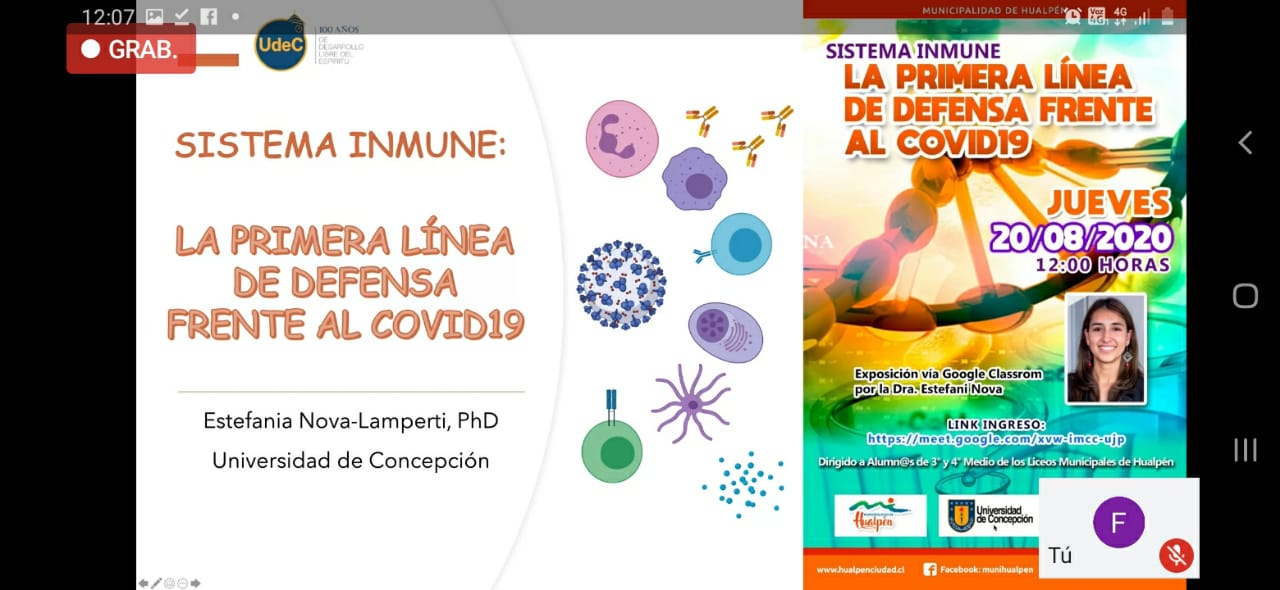 Facultad de Farmacia y Municipalidad de Hualpén realizan Programa Piloto de Acompañamiento Digital para asignaturas de ciencia