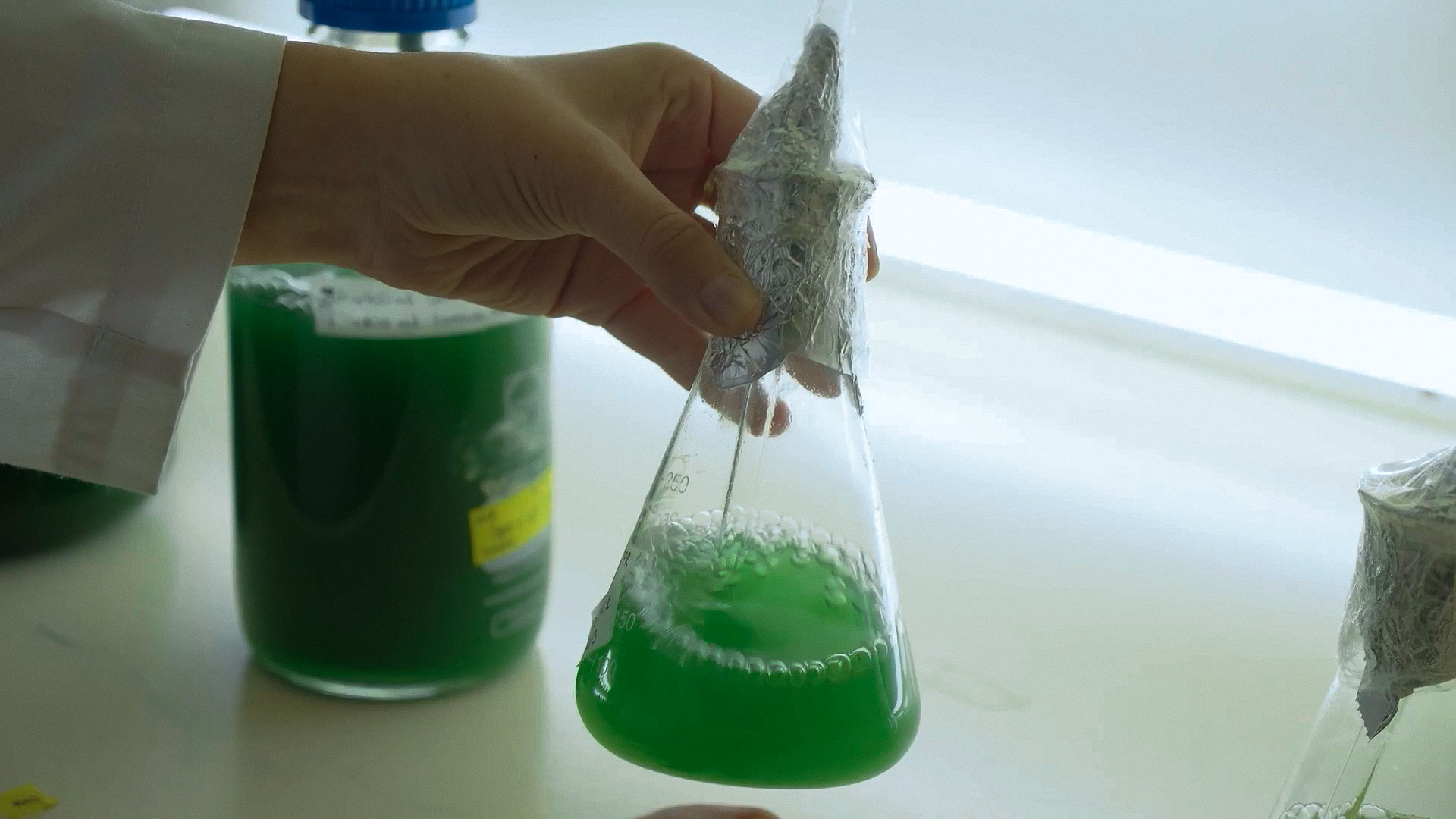 Facultad de Farmacia se integra a Centro de Estudios en Alimentos Procesados para innovar en la industria agroalimentaria