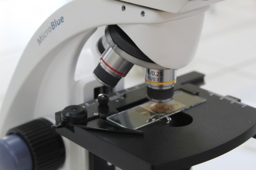 Proyectos de la Facultad de Farmacia se adjudican fondos en el concurso Fondef IDeA I+D 2025