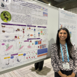 La Dra. Lía Olivares-Caro, del Departamento de Bioquímica Clínica e Inmunología, expuso "UHPLC-QTOF-based metabolomics reveals changes in the plasma and cardiac metabolome of mice fed Aristotelia chilensis (maqui)".